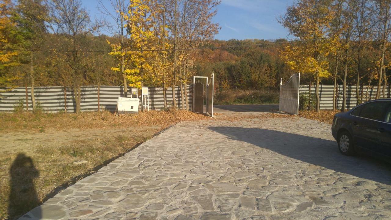 Pensiunea Casa Vanatorului Hotel Oteleni Buitenkant foto