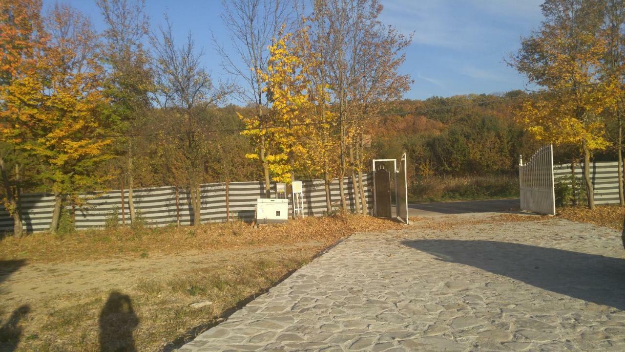 Pensiunea Casa Vanatorului Hotel Oteleni Buitenkant foto