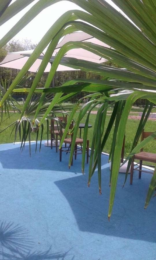 Pensiunea Casa Vanatorului Hotel Oteleni Buitenkant foto