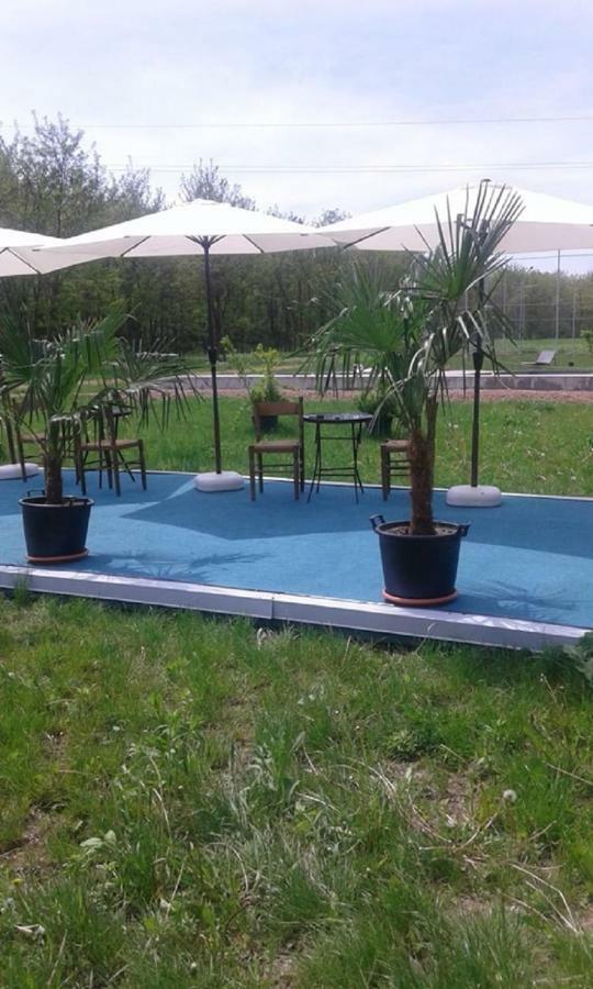 Pensiunea Casa Vanatorului Hotel Oteleni Buitenkant foto