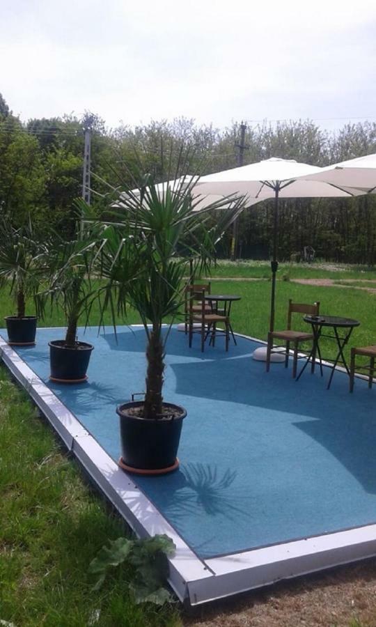 Pensiunea Casa Vanatorului Hotel Oteleni Buitenkant foto